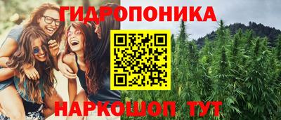 СК Тулун